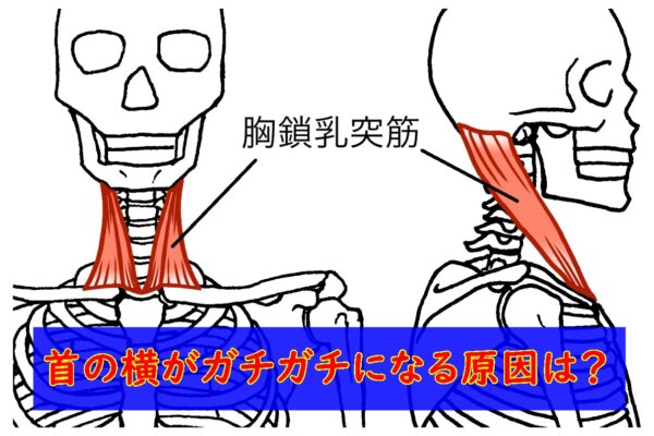 首の横がガチガチになる原因は？